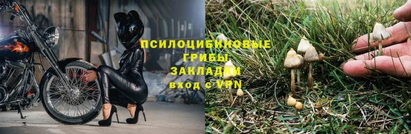 гидропоника Гусь-Хрустальный