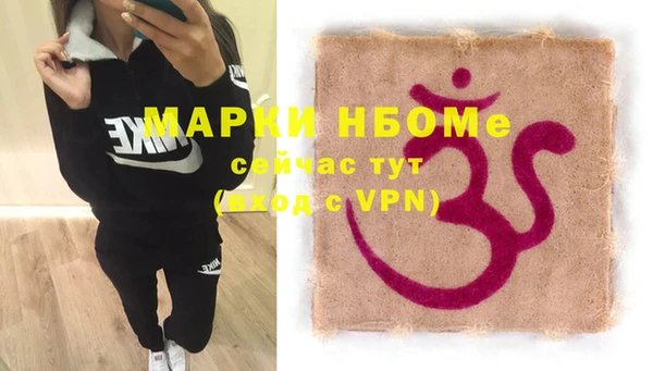 гидропоника Гусиноозёрск